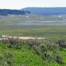 29 view of hayden valley2