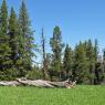 37 clear lake trail