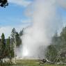 32 grotto geyser