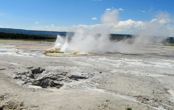 37 fountain geyser