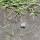 43 butterfly on picnic trail