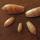 29 hannahs shells