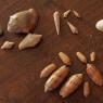 30 beccas shells
