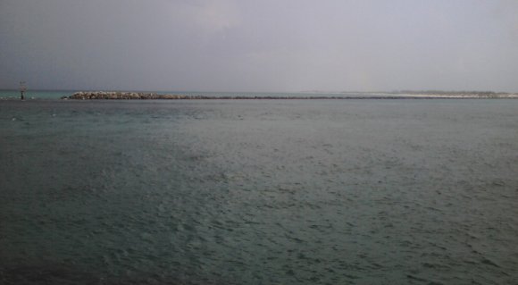 07 view