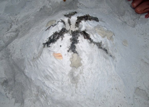 24 volcano