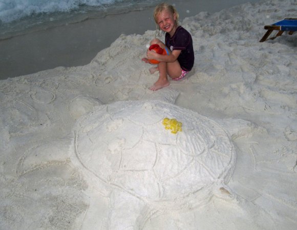 25 turtle hannah