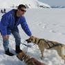 17 juneau dog sled