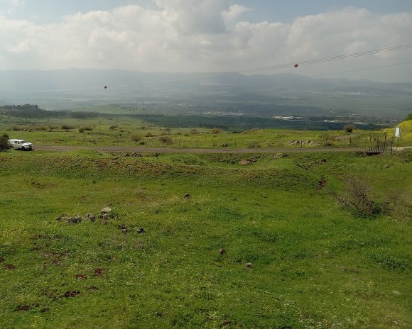 view (11)