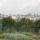 view (13)