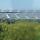 view (14)