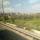 view (4)