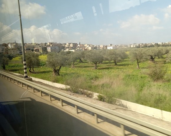 view (4)