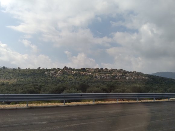 view (7)