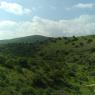 view (9)
