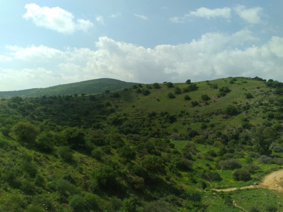 view (9)
