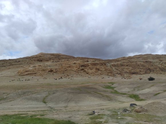 view (3)