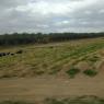 view (8)