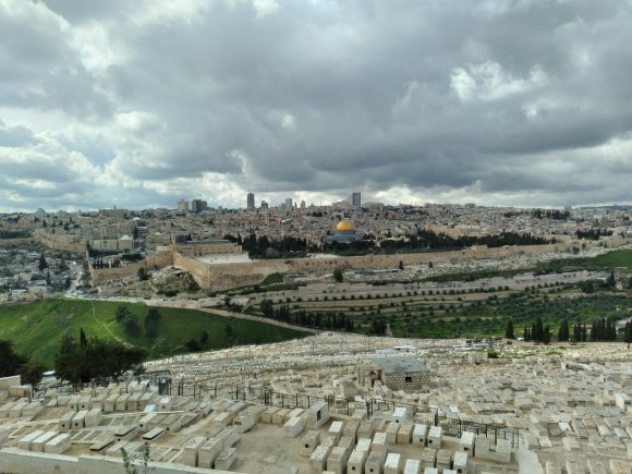 view