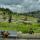 view (6)