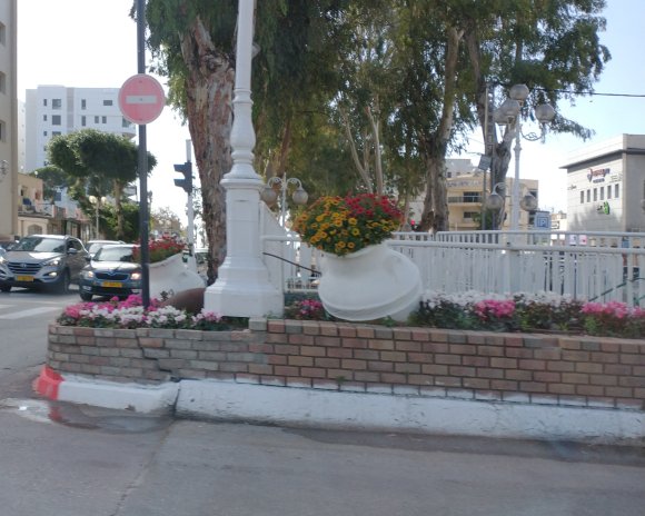 flowers (4)