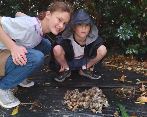 giant snails (3)