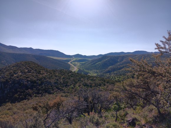 view5