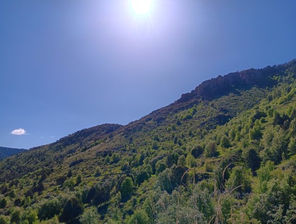 view6