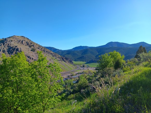 view