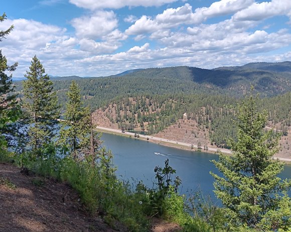 view