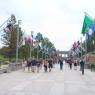 20 flags