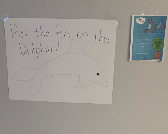 dolphin