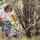 archery (3)