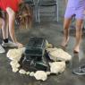 fire pit (6)