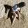 sand (2)