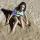 sand (3)