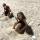 sand (4)