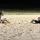 sand