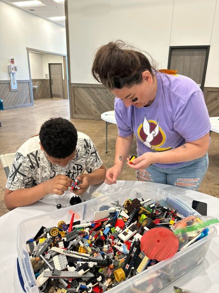 lego (21)